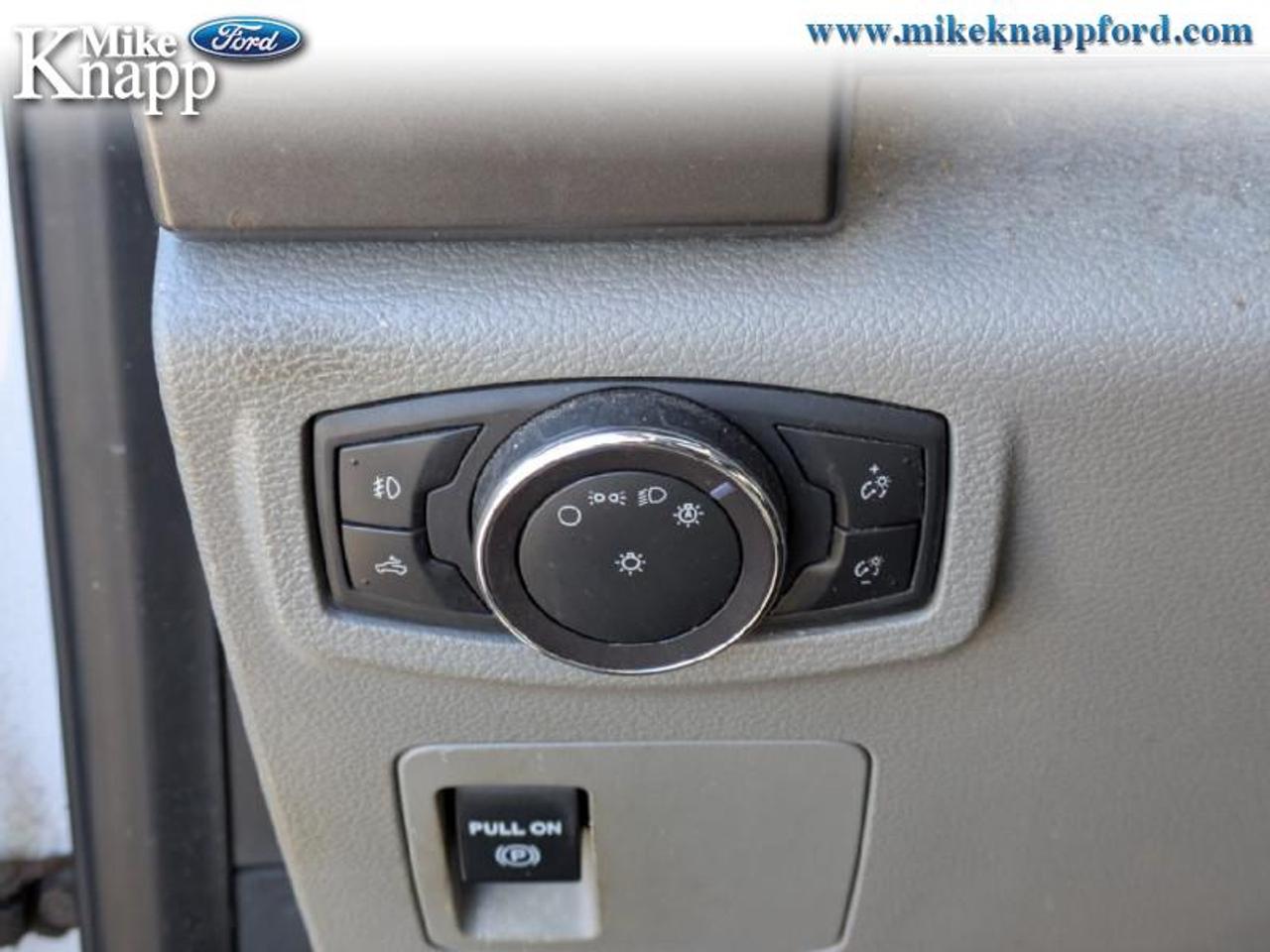 2019 Ford F-150 XLT Photo