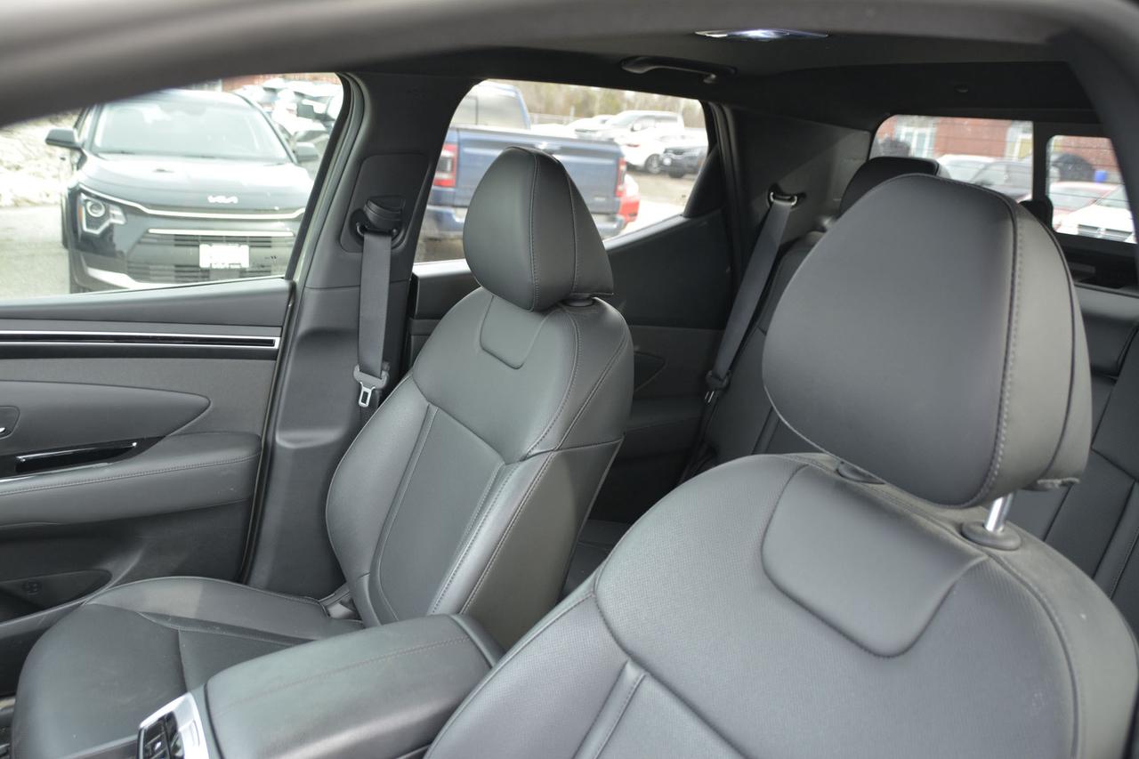 2024 Hyundai Santa Cruz Trend AWD Photo