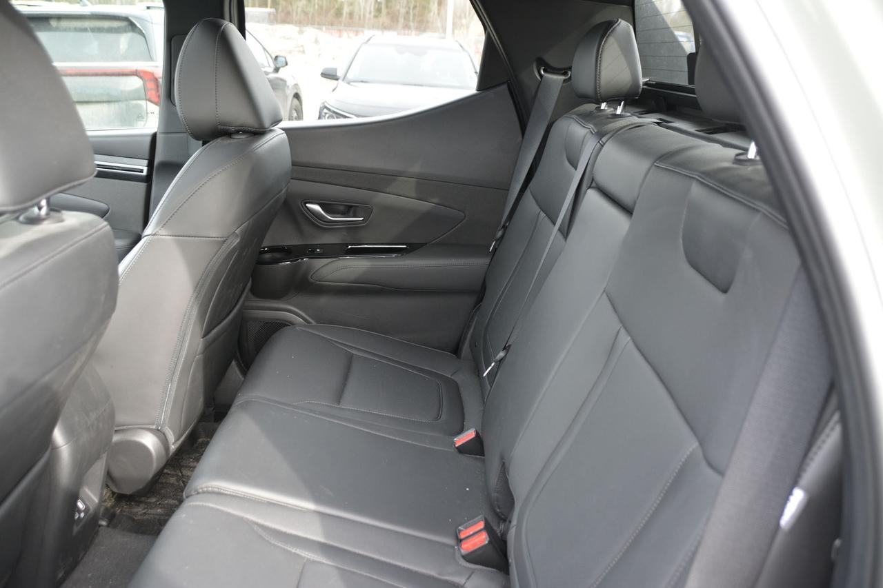 2024 Hyundai Santa Cruz Trend AWD Photo