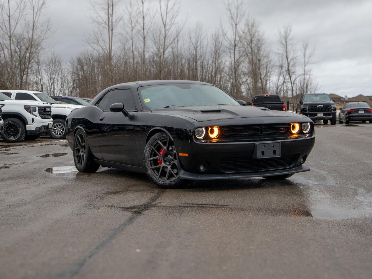 2016 Dodge Challenger R/T - V8 Engine   Manual Photo