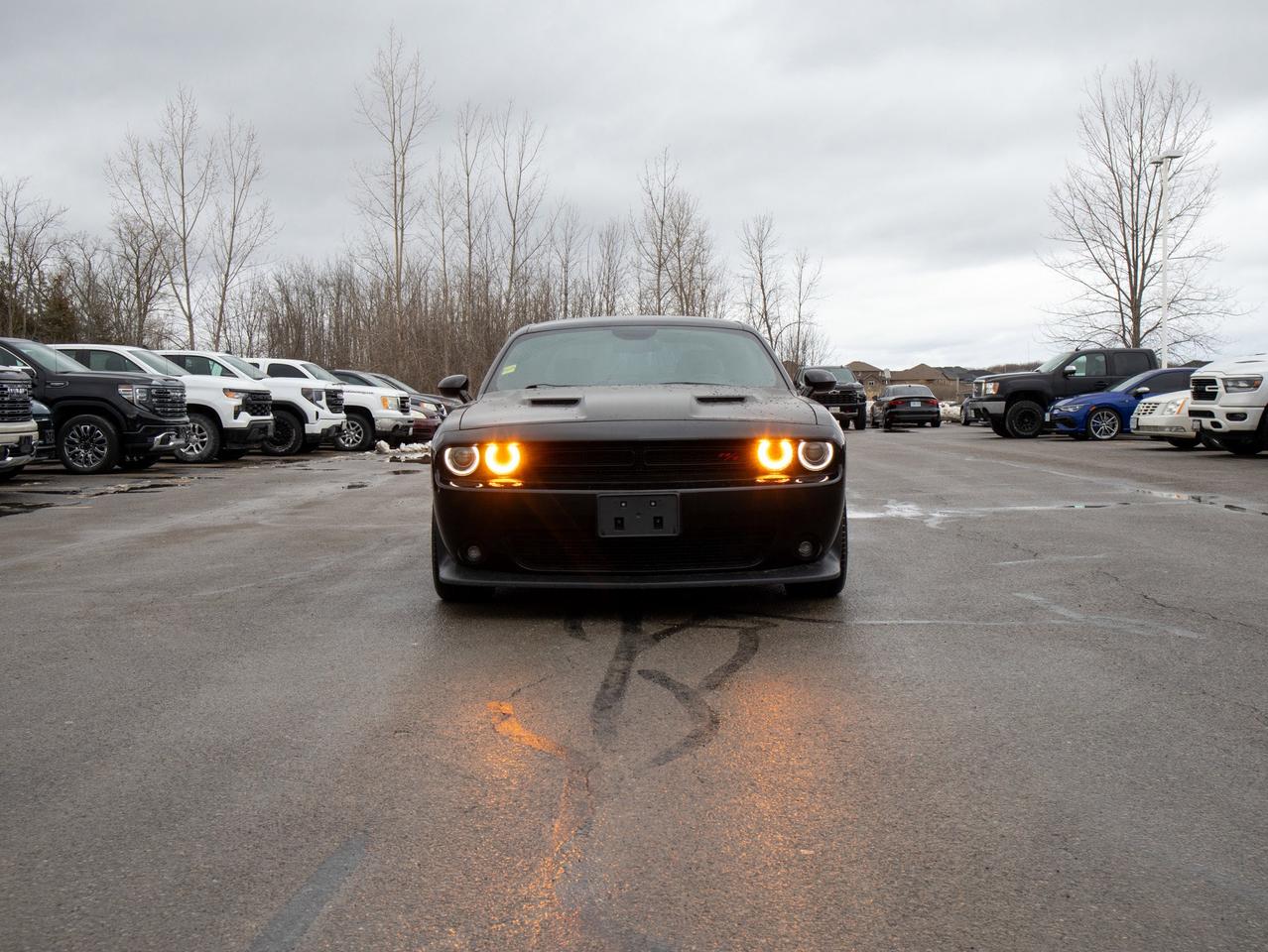 2016 Dodge Challenger R/T - V8 Engine   Manual Photo