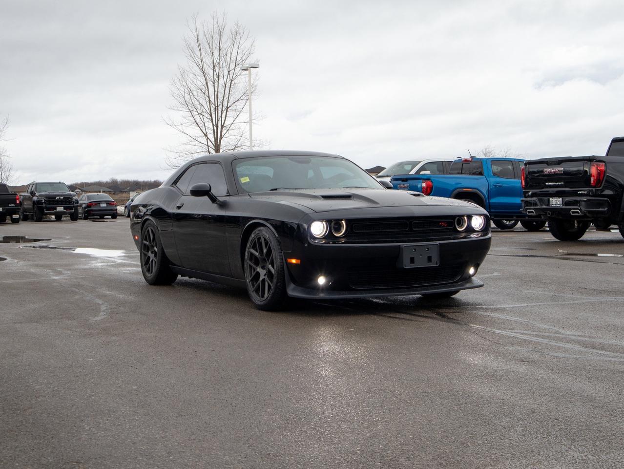 2016 Dodge Challenger R/T - V8 Engine   Manual Photo