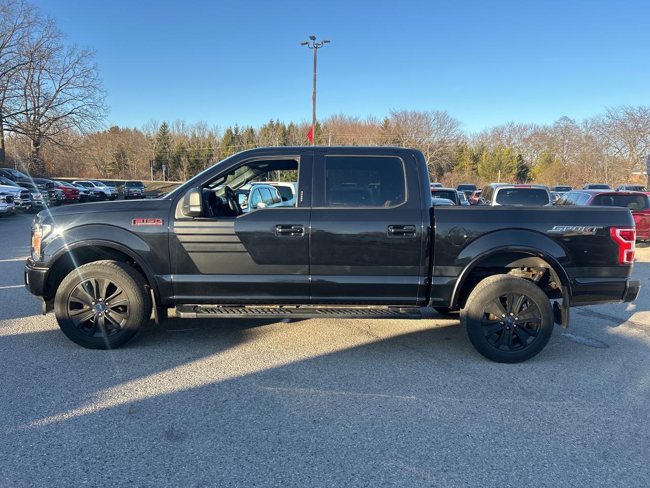 2019 Ford F-150 XLT SPORT 4X4, CLEAN CARFAX, REMOTE START! Photo