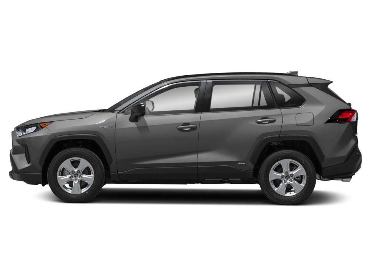 2019 Toyota RAV4 Hybrid LE Photo