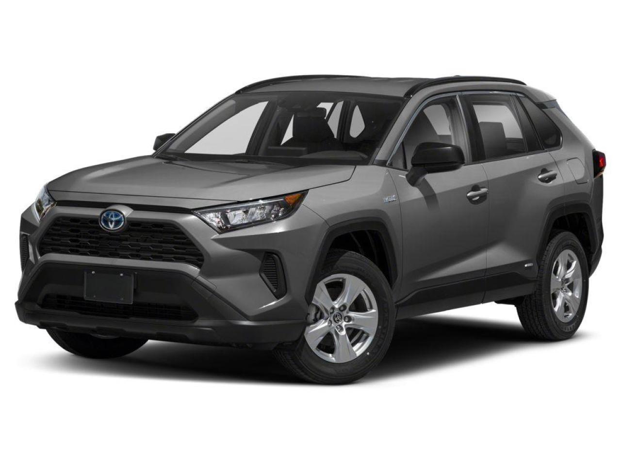 2019 Toyota RAV4 Hybrid LE Photo0