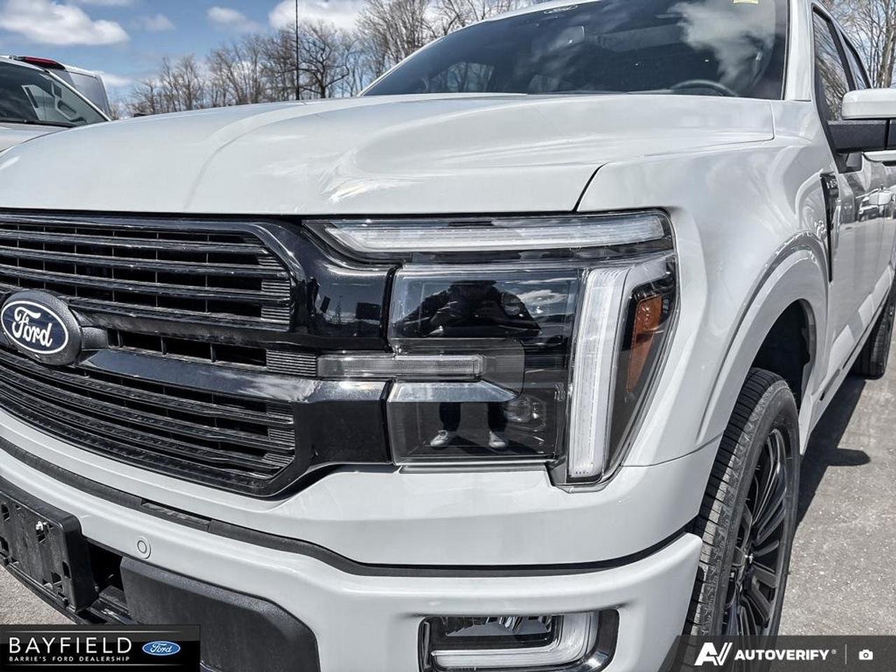 2026 Ford F-150 Platinum Photo