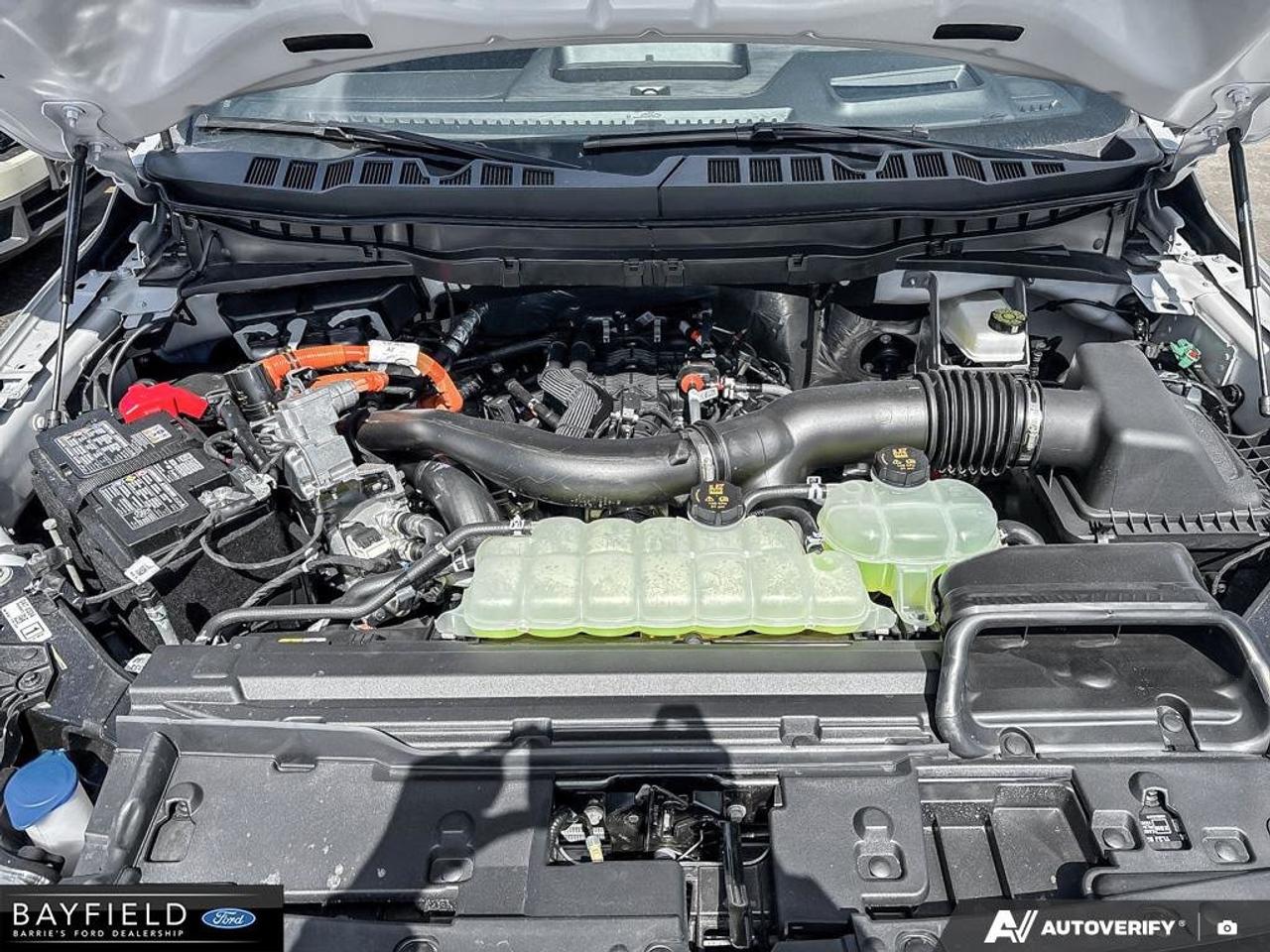 2026 Ford F-150 Platinum Photo