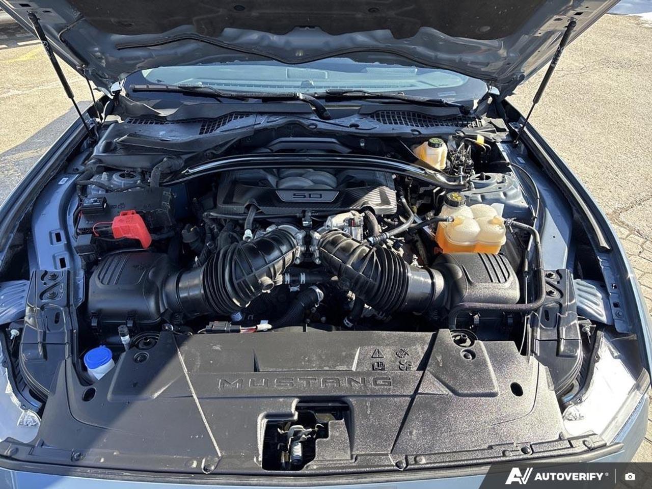 2024 Ford Mustang GT  - Aluminum Wheels Photo