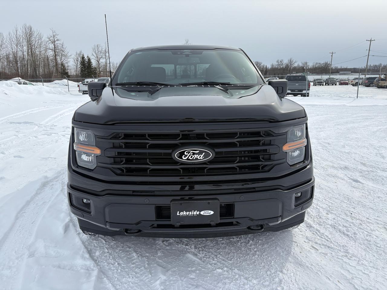 2026 Ford F-150 XLT Photo1