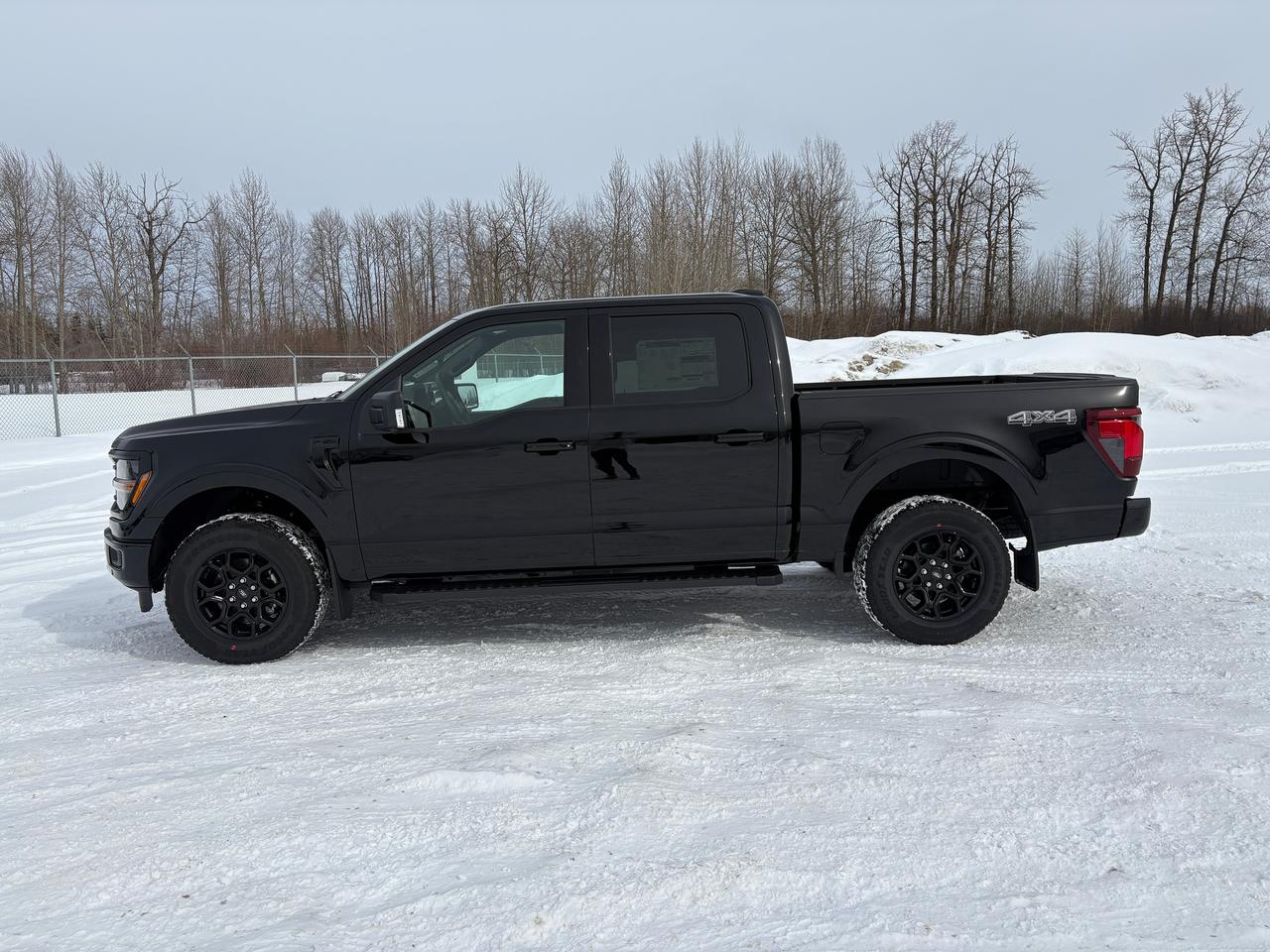 2026 Ford F-150 XLT Photo4