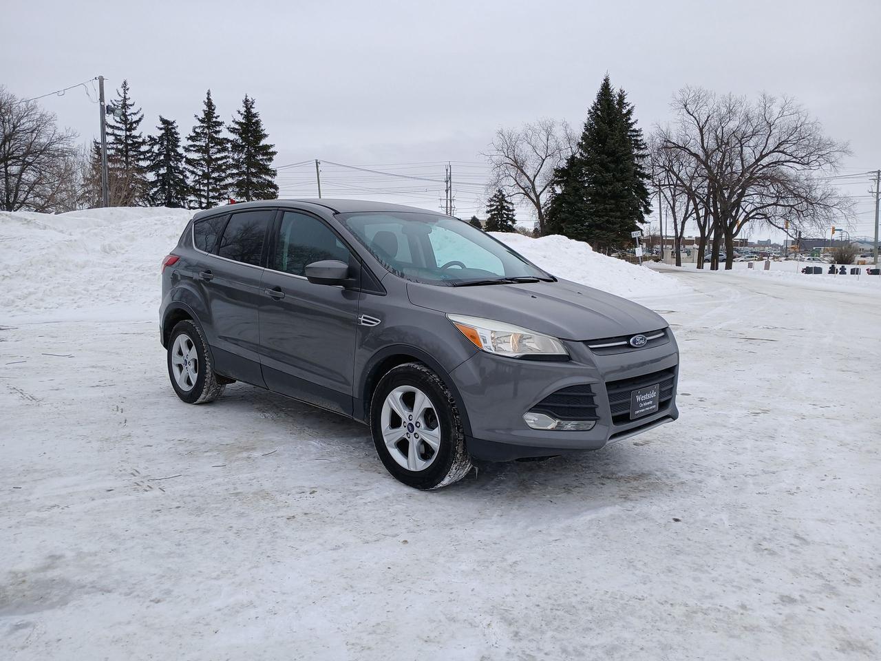 Used 2014 Ford Escape SE for sale in Winnipeg, MB
