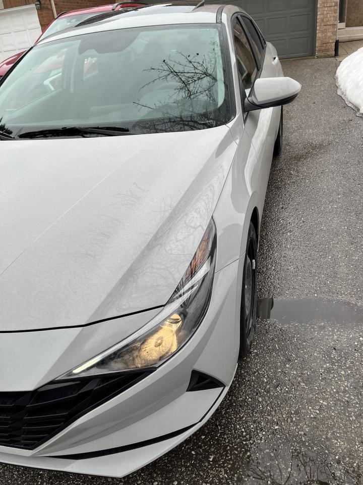 2023 Hyundai Elantra PREFERRED -MOONROOF-1 LOCAL FEMALE OWNER!!! NON SMOKER! Photo