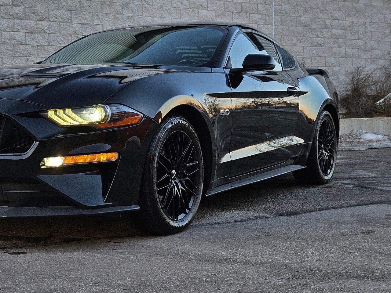 2018 Ford Mustang GT FASTBACK PREMIUM-DIGITAL CLUSTER-FULLY LOADED Photo