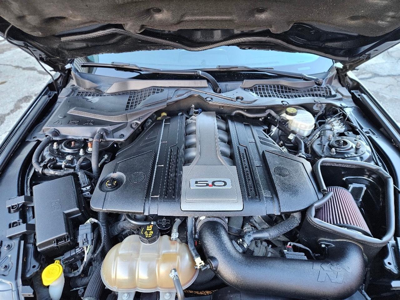 2018 Ford Mustang GT FASTBACK PREMIUM-DIGITAL CLUSTER-FULLY LOADED Photo