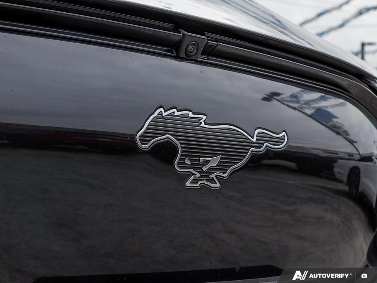 2022 Ford Mustang Mach-E Premium 300A | NAVIGATION SYSTEM | FRONT DUAL A/C | POWER Photo