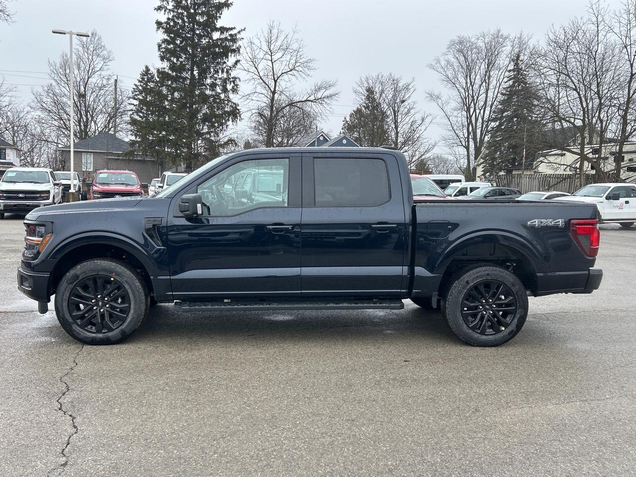 2026 Ford F-150 XLT 4WD SuperCrew 5.5' Box Photo