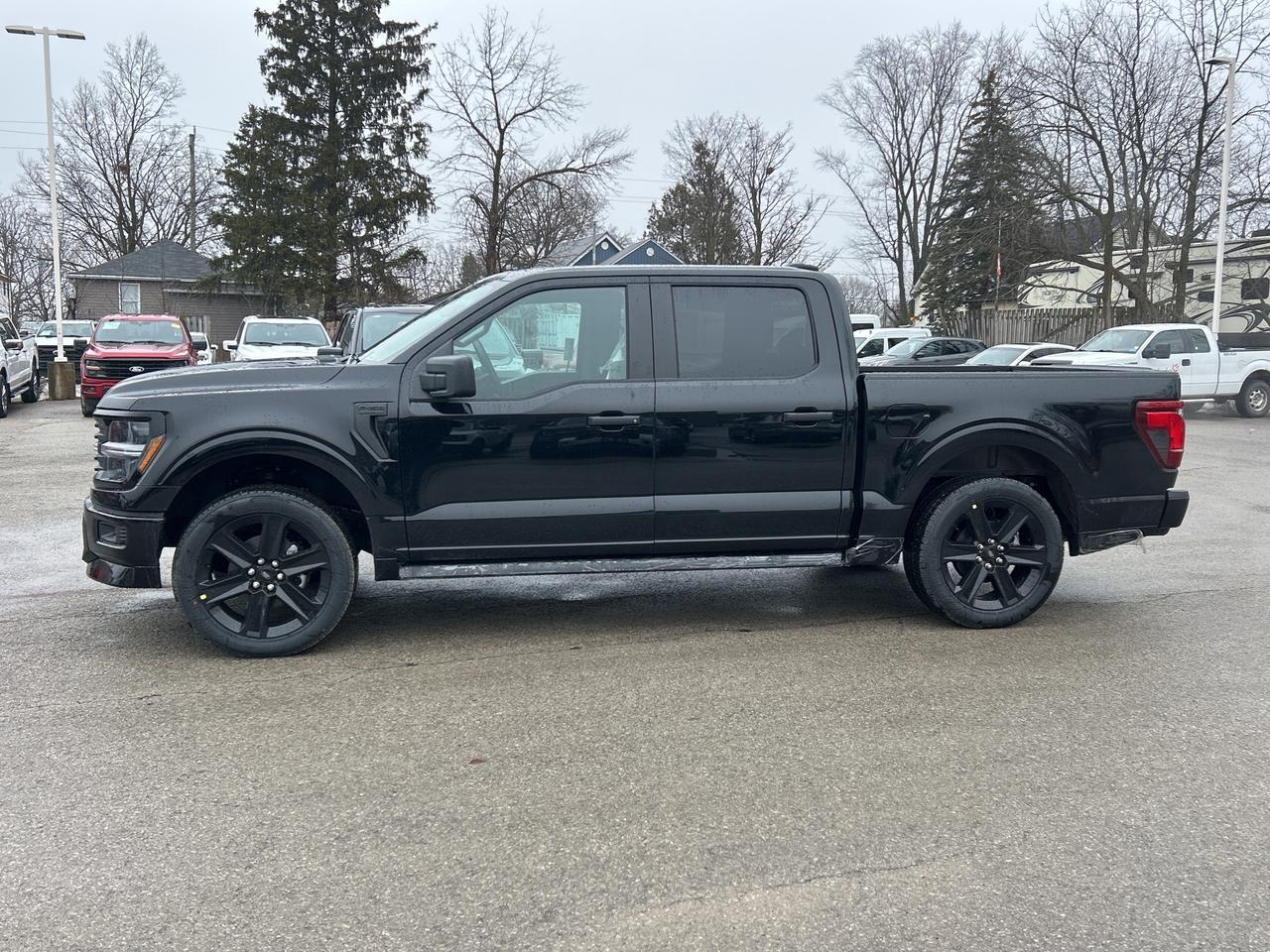 2026 Ford F-150 STX Lobo Supercharged 4WD SuperCrew 5.5' Box Photo