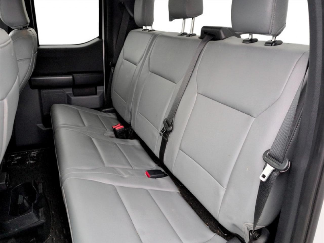 2022 Ford F-150 XL Photo