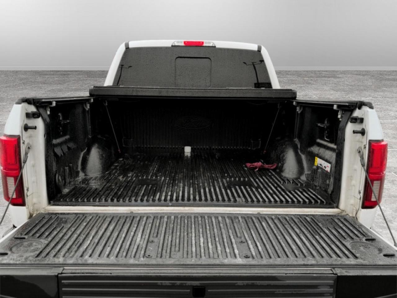 2020 Ford F-150 Lariat Photo