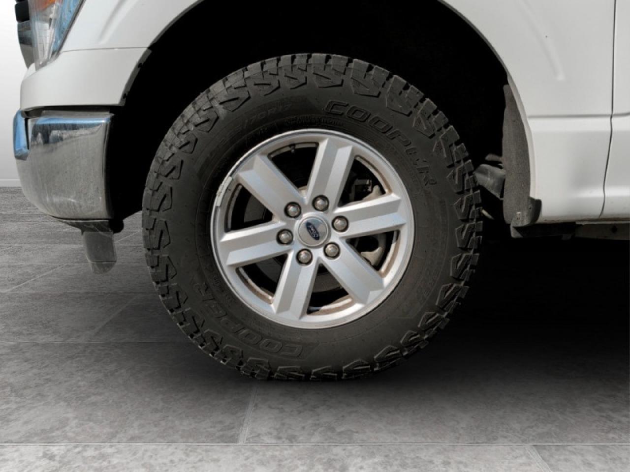 2022 Ford F-150 XLT Photo