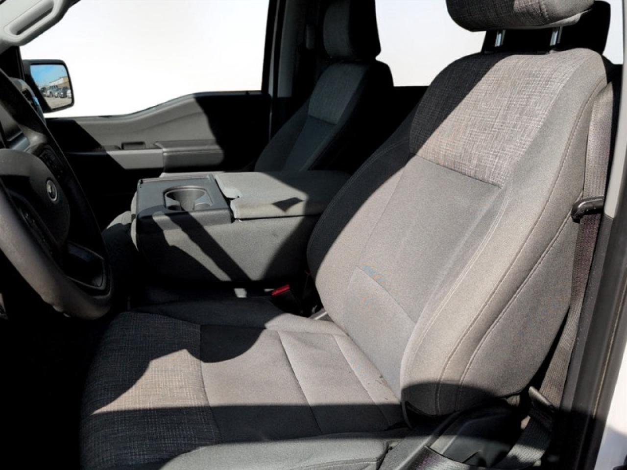 2022 Ford F-150 XLT Photo