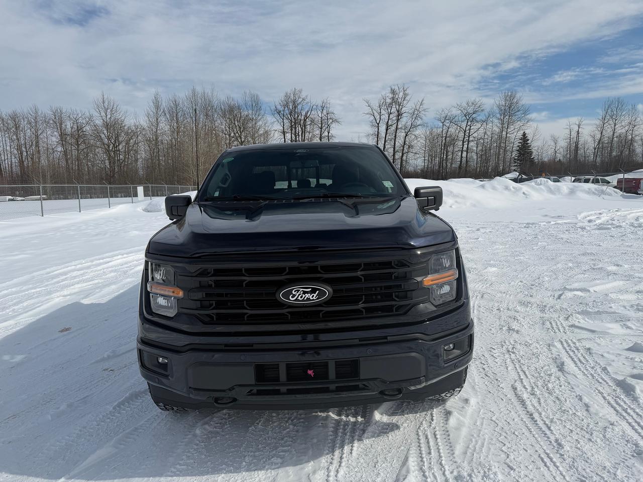 2026 Ford F-150 XLT Photo1