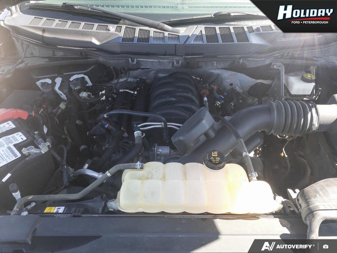 2021 Ford F-150 XLT Photo