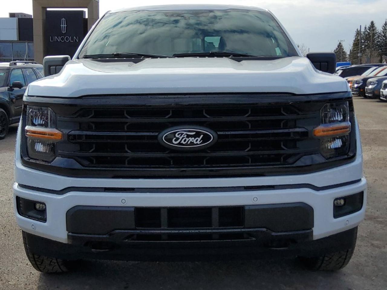 2026 Ford F-150 XLT Photo