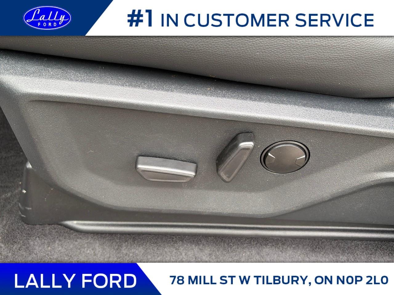 2026 Ford F-150 XLT 4WD SuperCrew 5.5' Box Photo