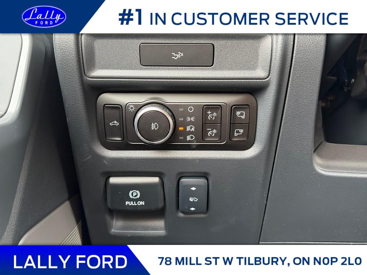 2026 Ford F-150 XLT 4WD SuperCrew 5.5' Box Photo