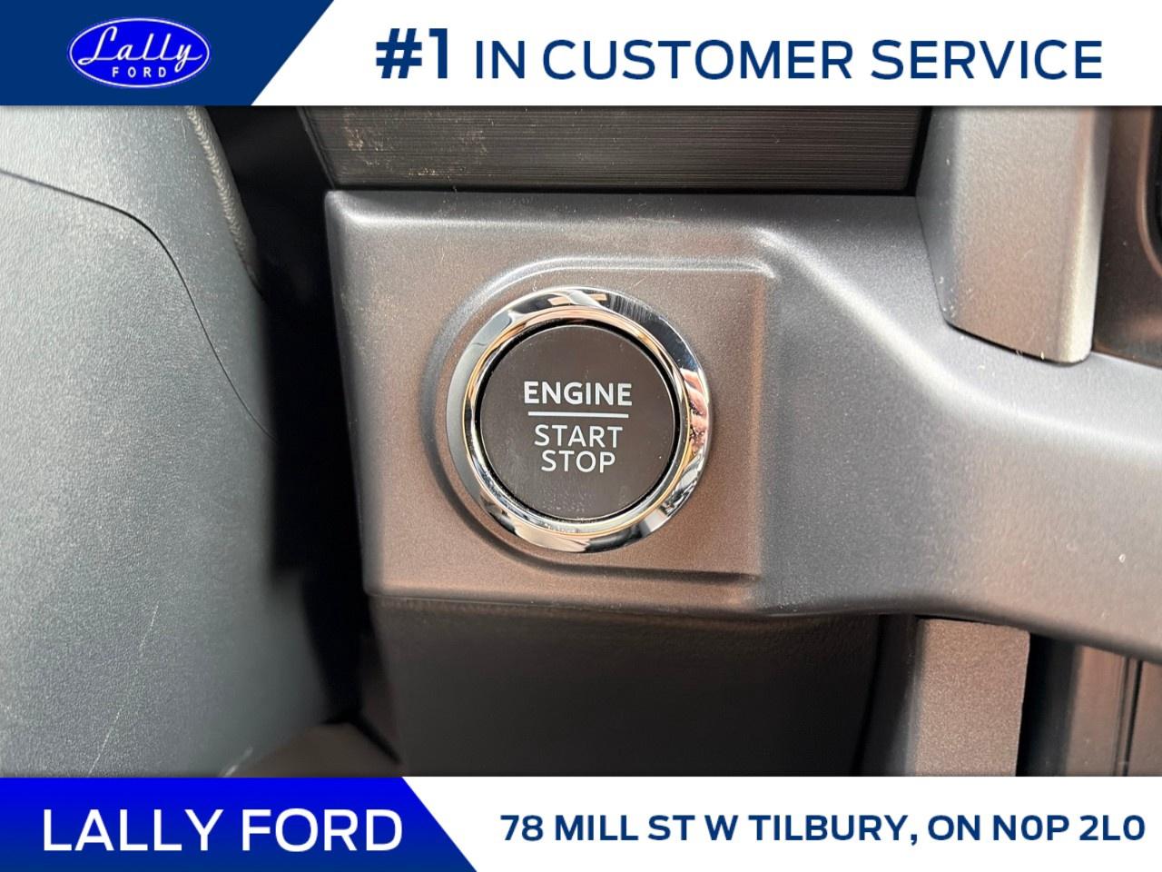 2026 Ford F-150 XLT 4WD SuperCrew 5.5' Box Photo