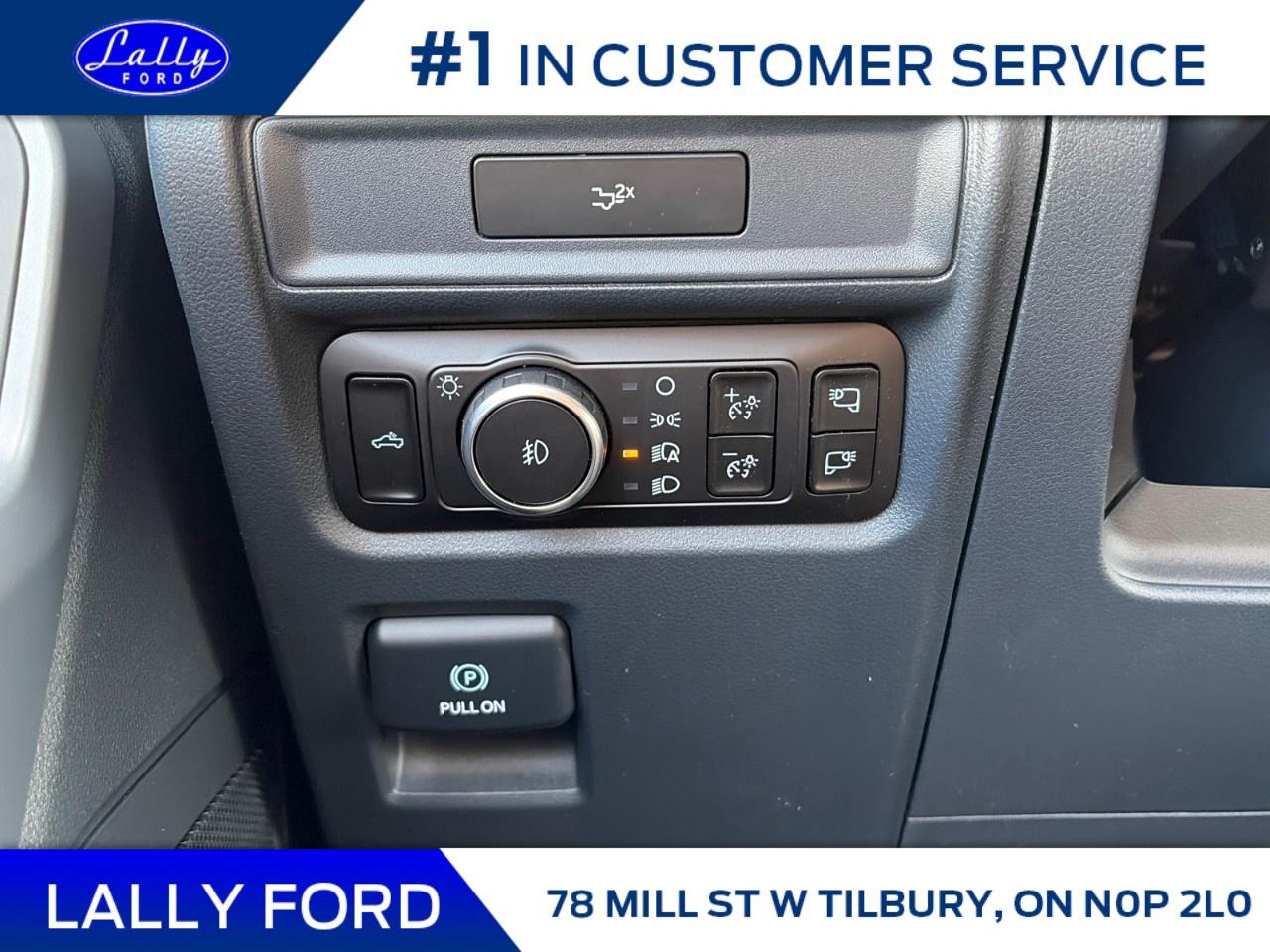 2026 Ford F-150 XLT 4WD SuperCrew 5.5' Box Photo