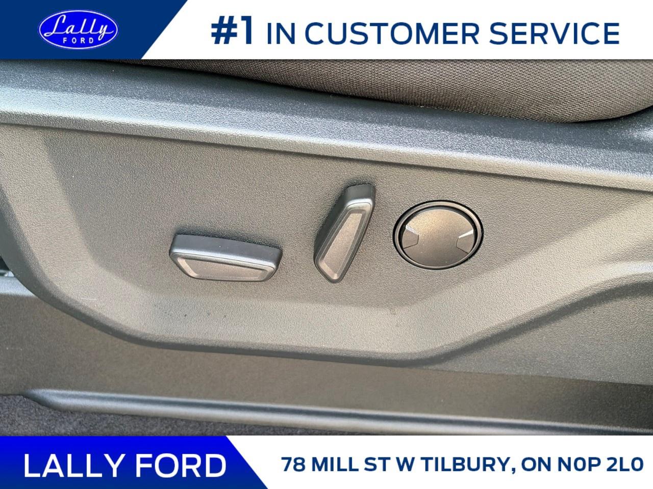 2026 Ford F-150 XLT 4WD SuperCrew 5.5' Box Photo