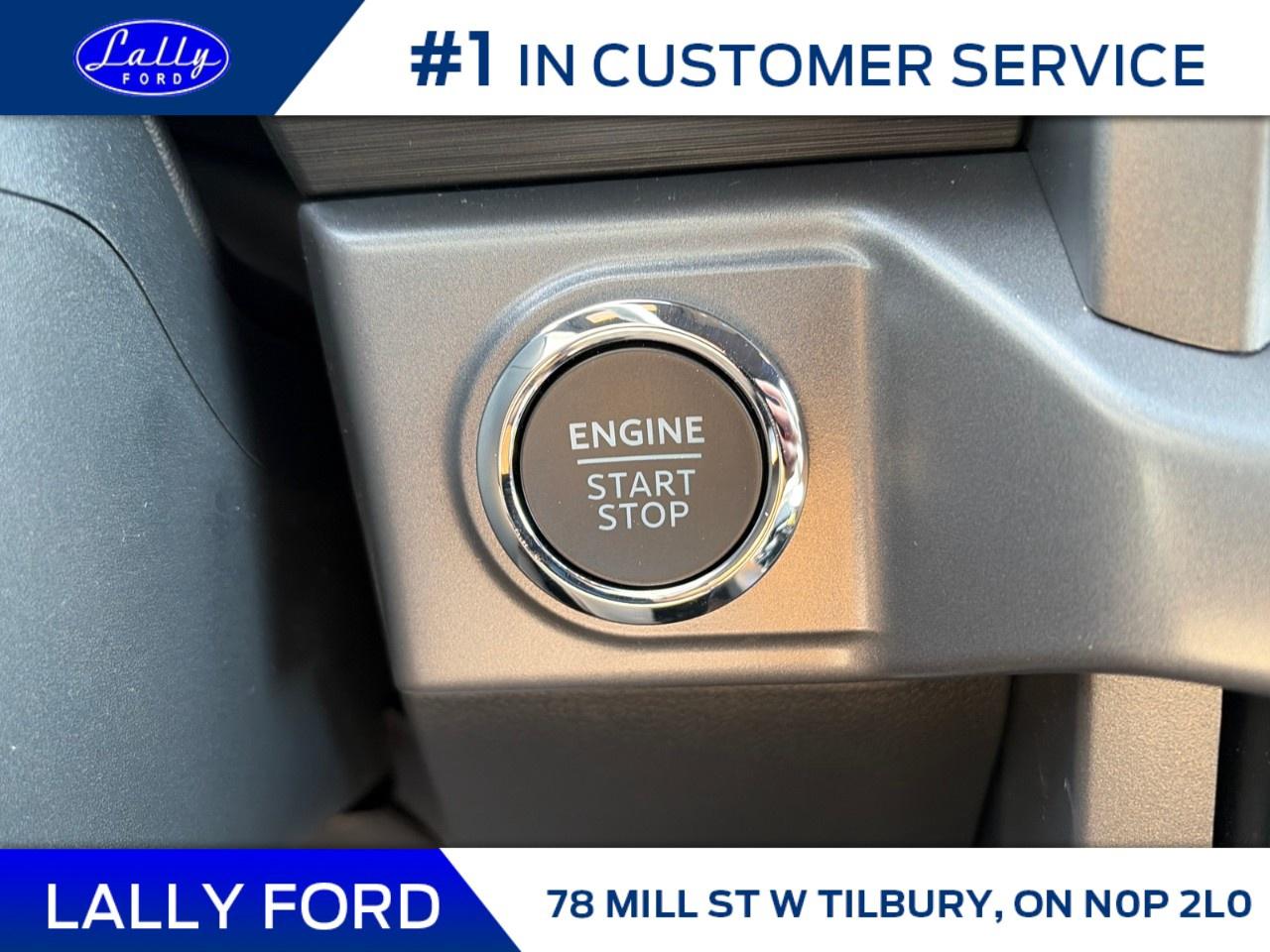 2026 Ford F-150 XLT 4WD SuperCrew 5.5' Box Photo