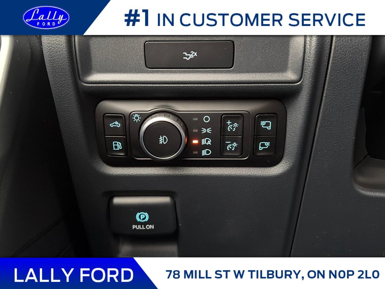 2026 Ford F-150 XLT 4WD SuperCrew 5.5' Box Photo