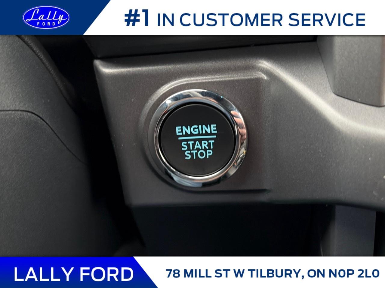 2026 Ford F-150 XLT 4WD SuperCrew 5.5' Box Photo