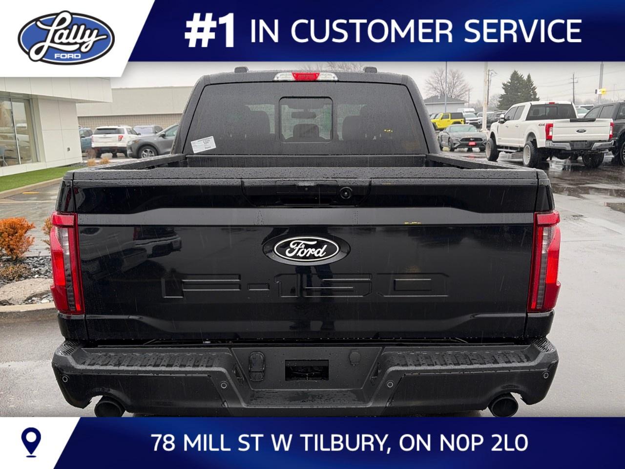 2026 Ford F-150 XLT 4WD SuperCrew 5.5' Box Photo