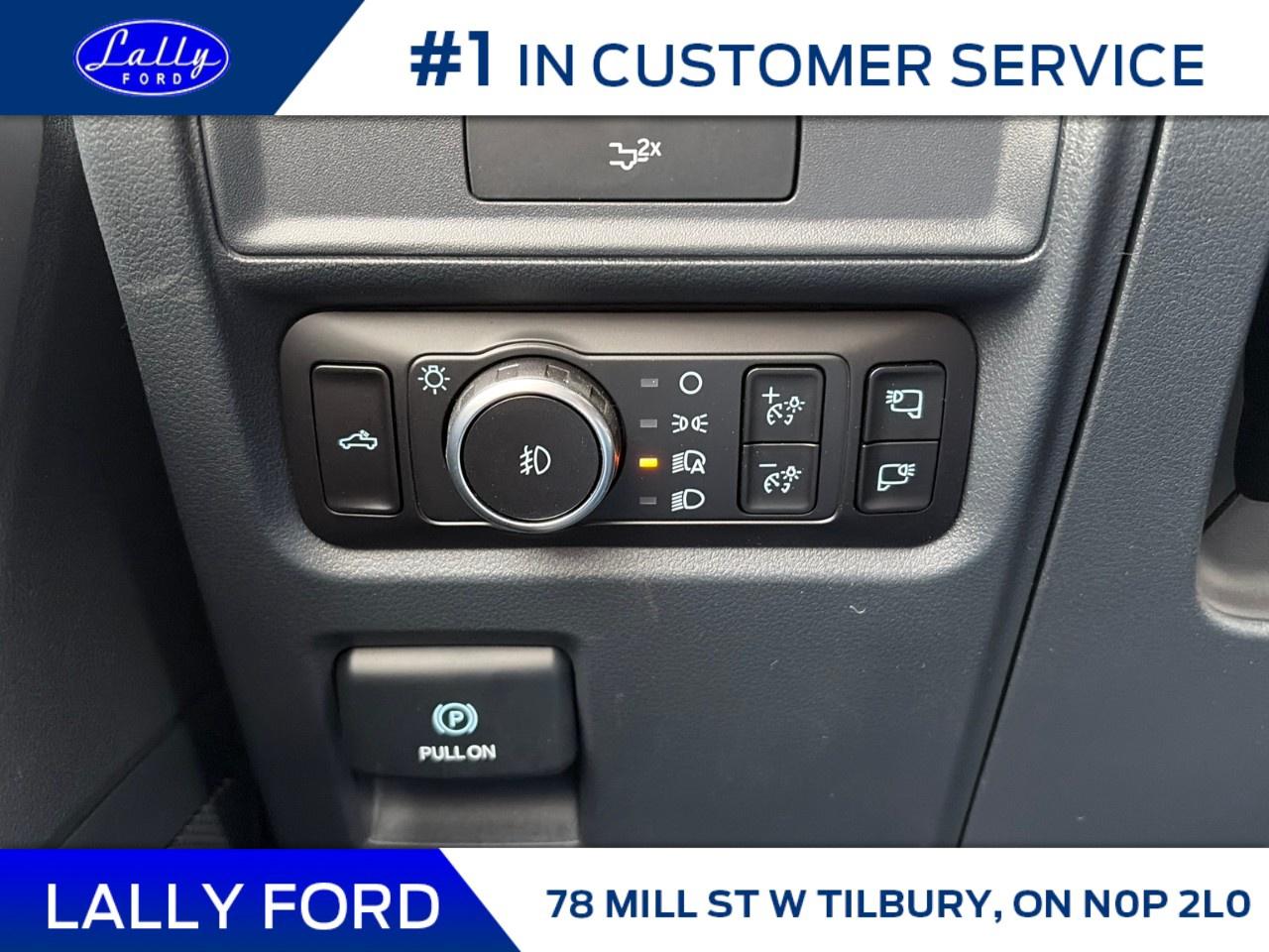 2026 Ford F-150 XLT 4WD SuperCrew 5.5' Box Photo