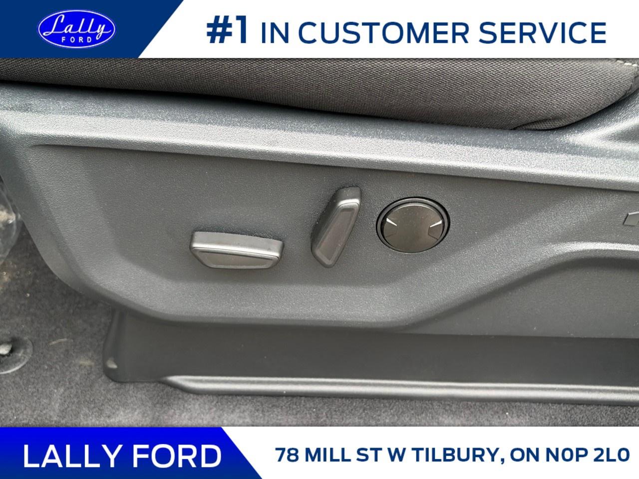 2026 Ford F-150 XLT 4WD SuperCrew 5.5' Box Photo