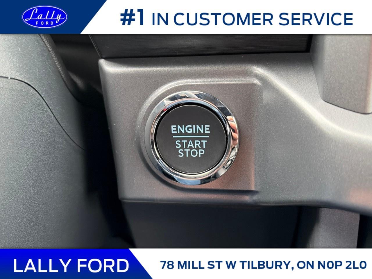 2026 Ford F-150 XLT 4WD SuperCrew 5.5' Box Photo