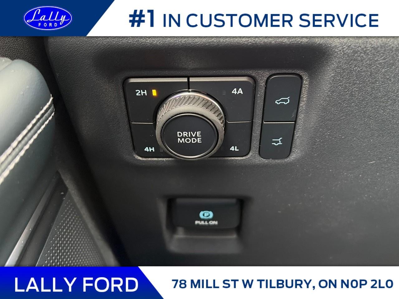 2026 Ford Expedition Platinum Max 4X4 Photo