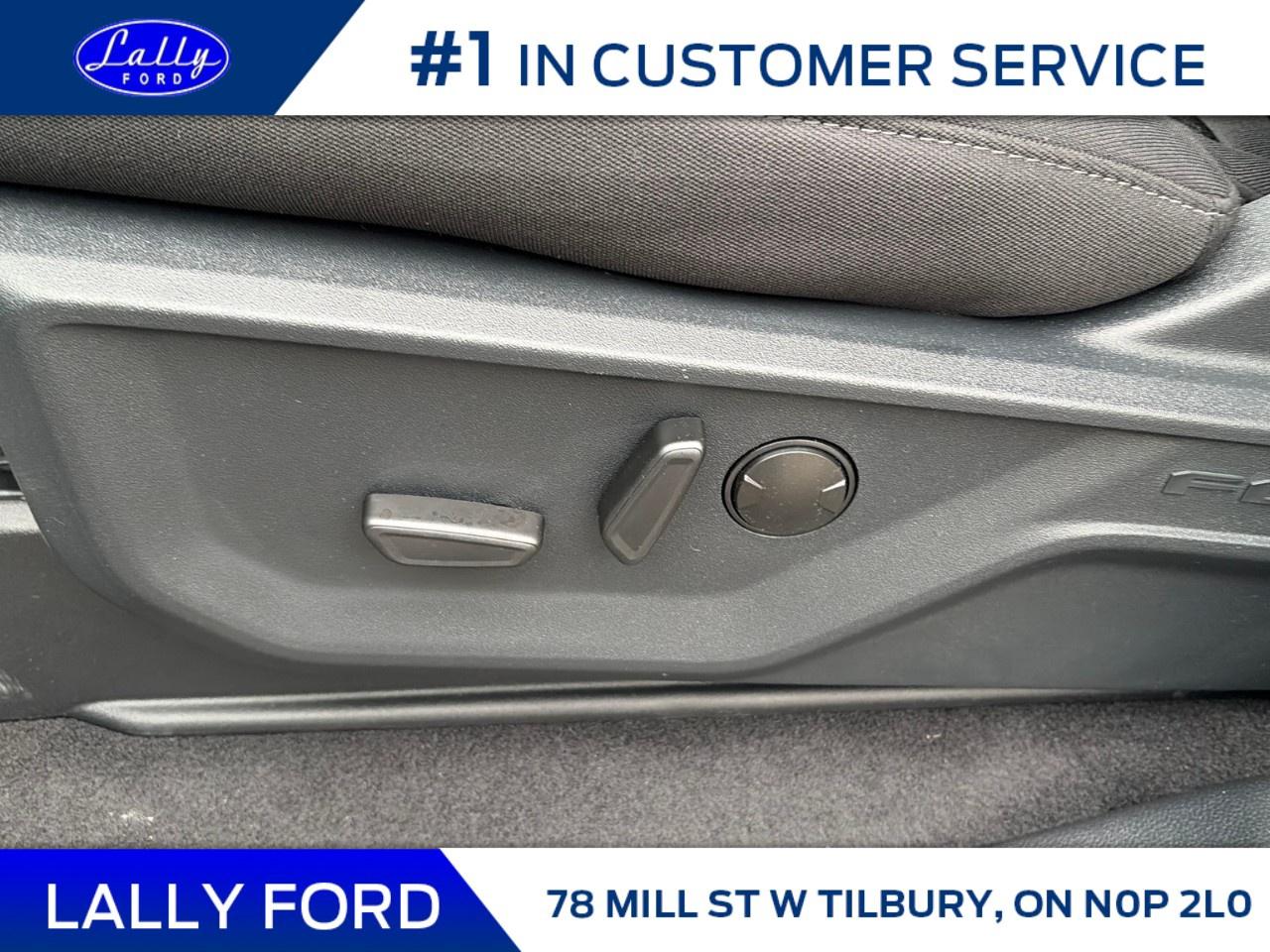 2026 Ford F-150 XLT 4WD SuperCrew 5.5' Box Photo