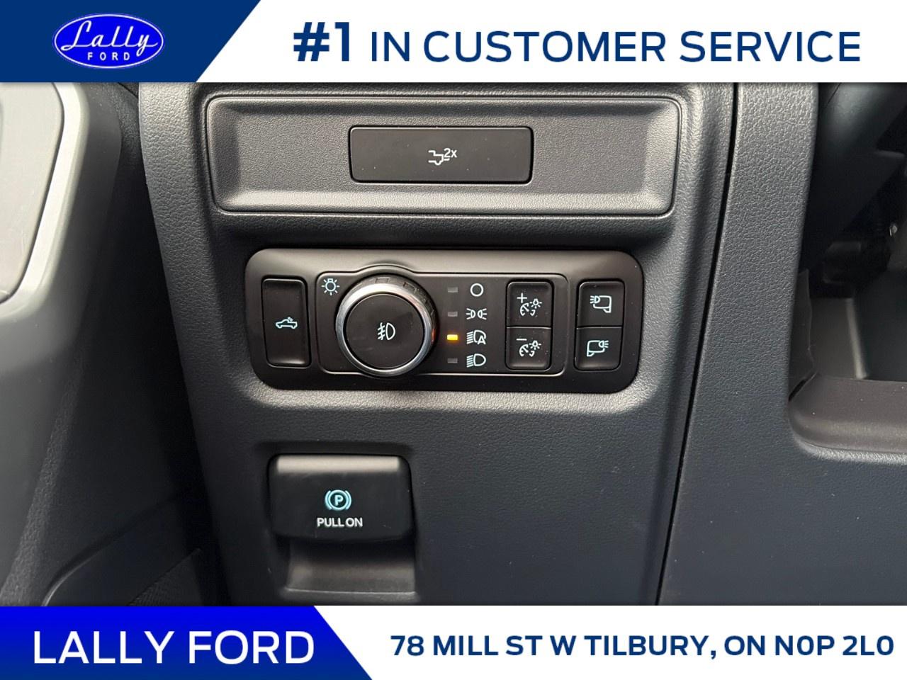 2026 Ford F-150 XLT 4WD SuperCrew 5.5' Box Photo