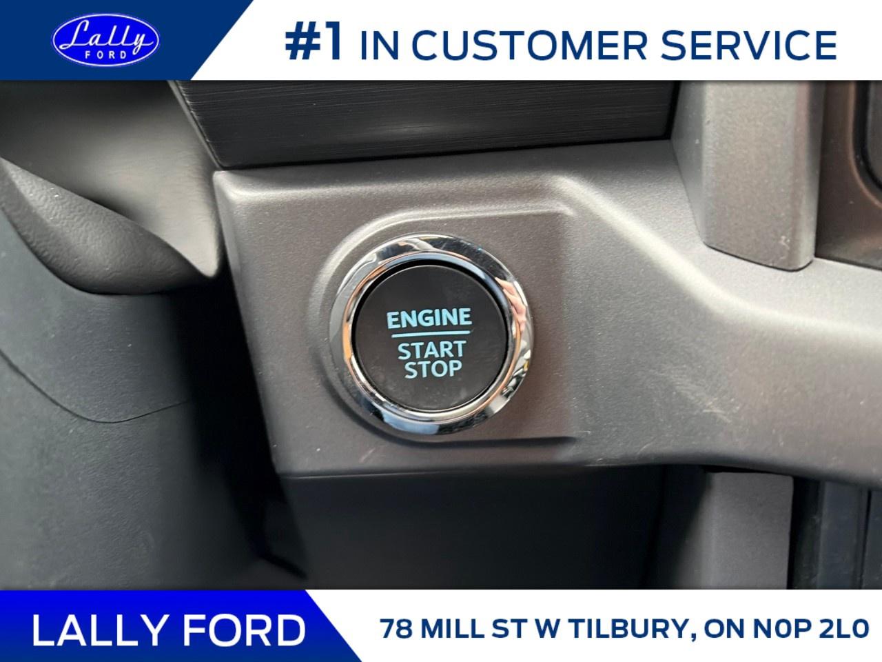 2026 Ford F-150 XLT 4WD SuperCrew 5.5' Box Photo