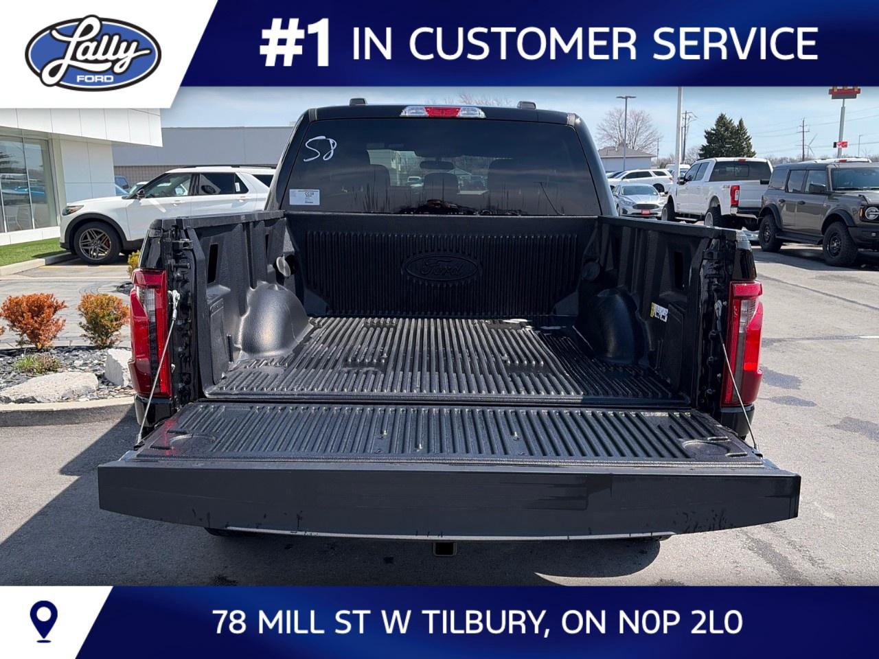 2026 Ford F-150 XLT 4WD SuperCrew 5.5' Box Photo