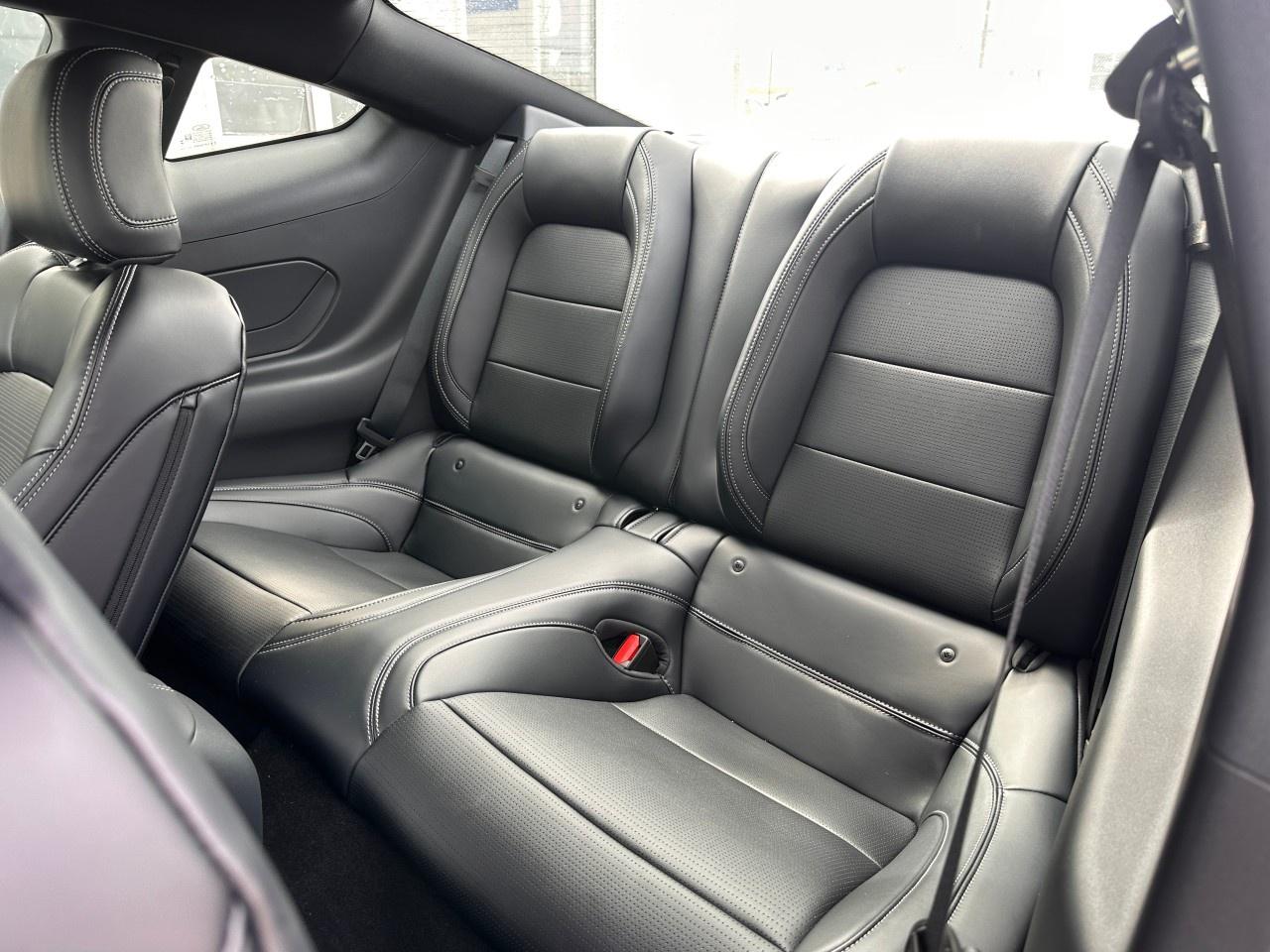 2026 Ford Mustang GT Premium Fastback Photo