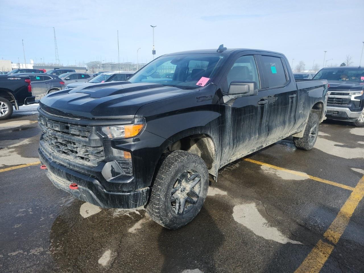 Used 2024 Chevrolet Silverado 1500 Crew Cab Standard Box 4-Wheel Drive Custom Trail Boss for sale in Truro, NS