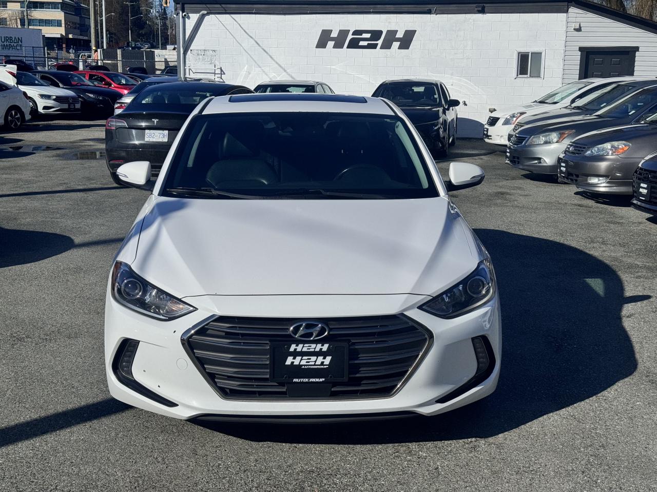 2017 Hyundai Elantra Limited SE FINANCING AVAILABLE Photo2