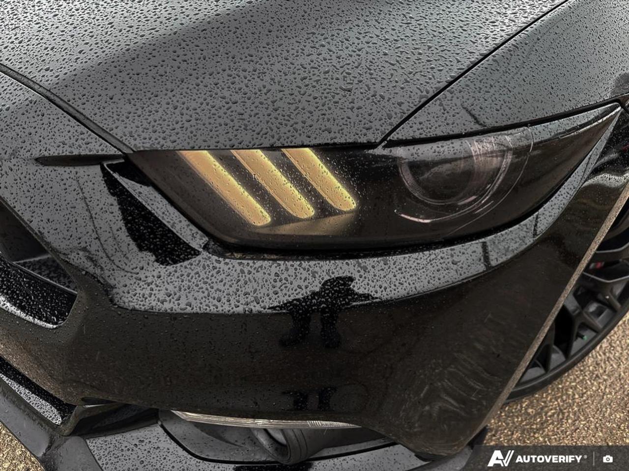 2017 Ford Mustang GT PREMIUM / PERFORMANCE PKG  / NAV / LEATHER / Photo