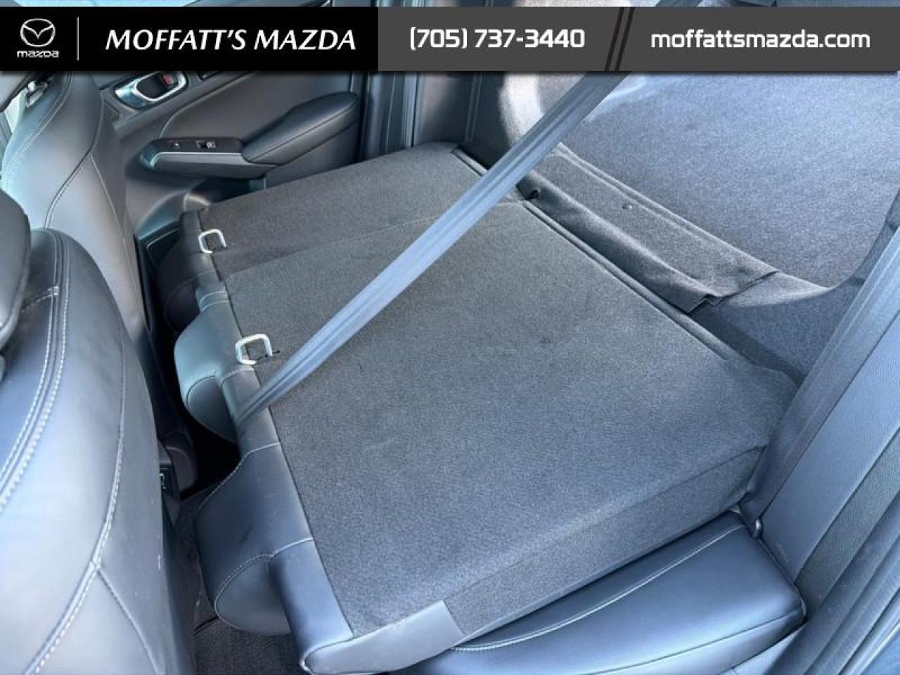 2023 Honda Civic Sedan Touring Photo